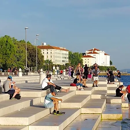 Martina Zadar