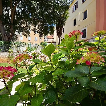 Hotel Martina 3*